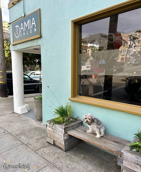 Damia Hair Salon