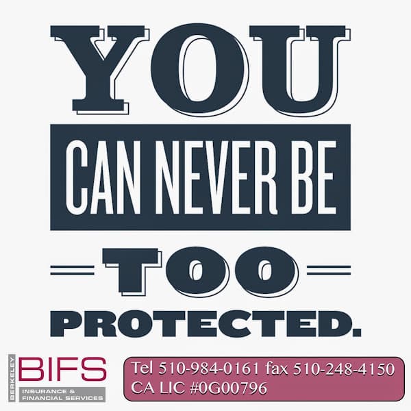 Berkeley Insurance & Financial Services 2