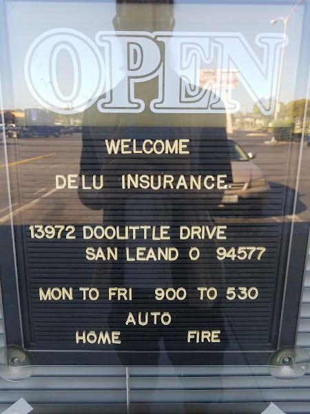Delu Insurance Inc 5