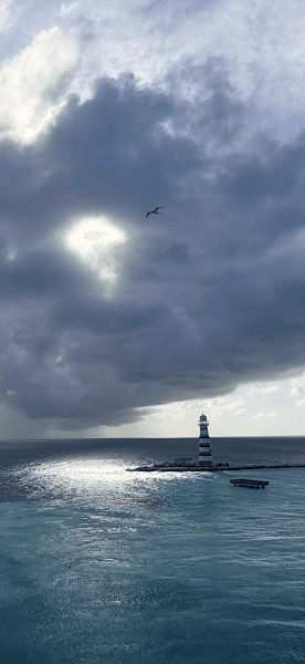 Cruise Planners- Sheryl Tevebaugh