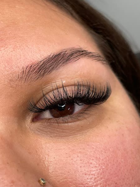 HDLASH
