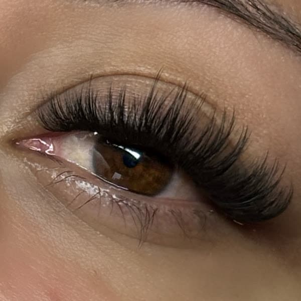 Lashed by Vivi