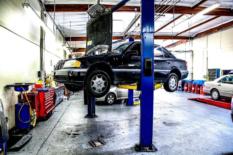 Import Auto Specialists