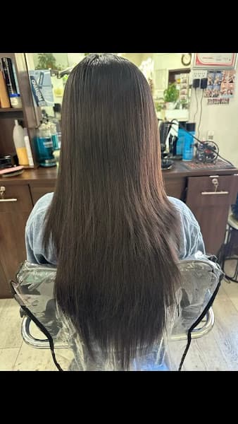 Salon by Spring