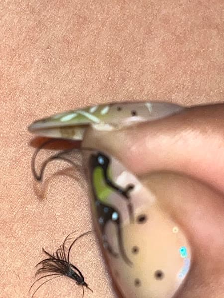 KN lashes 4