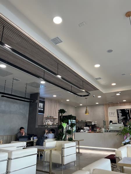 Spot Coffee & More