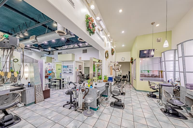 KSY Kim Sun Young Hair & Beauty Salon LA ✂