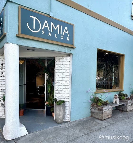 Damia Hair Salon 3