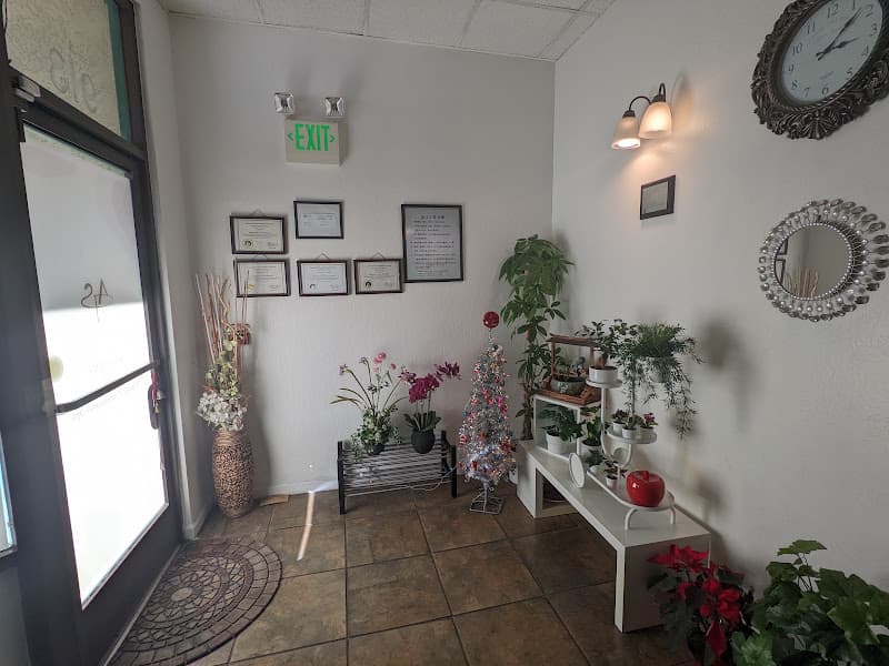 Albany Professional SPA 2