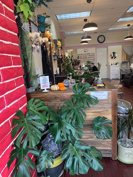New You Salon 5