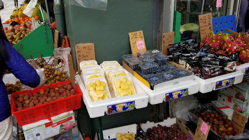May Sun Market 5