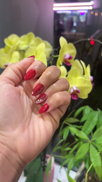 Diane's Nail Care 2