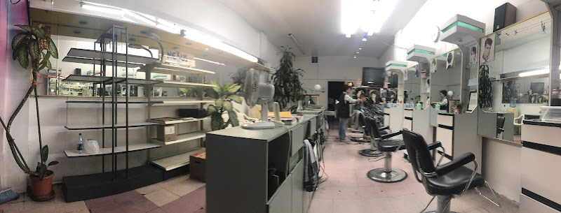 Win's Hair Design 4