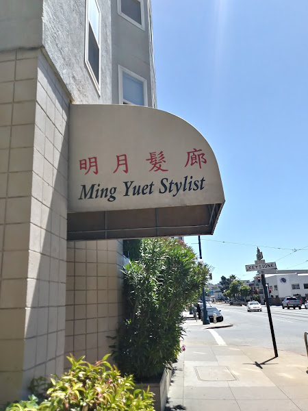 Ming Yuet Stylist 3