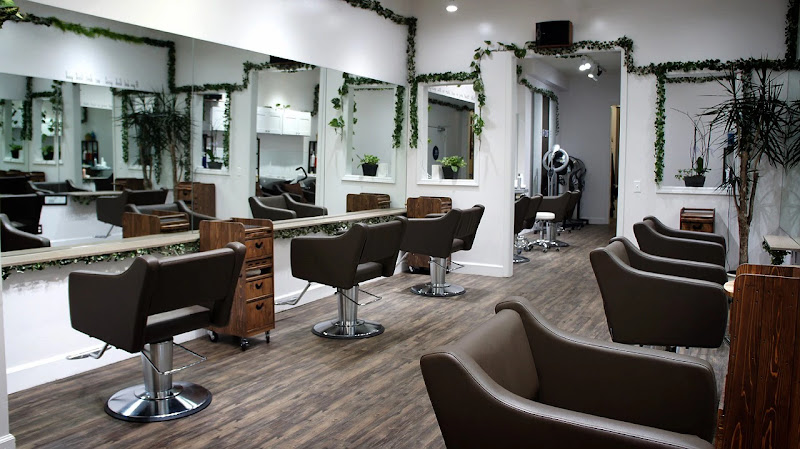 Hair Caffe 3