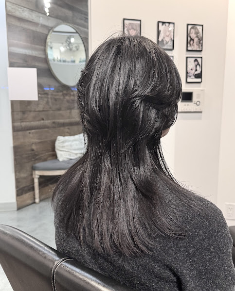 Hair Studio Sho 2