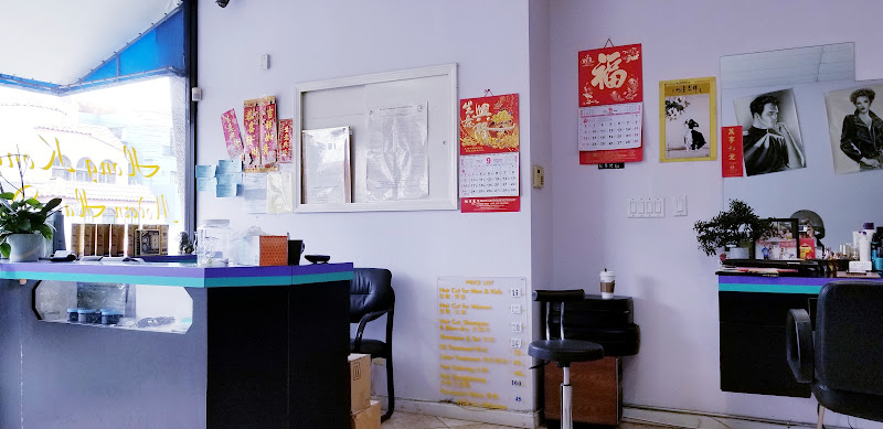 Hong Kong Modern Hair Design 4