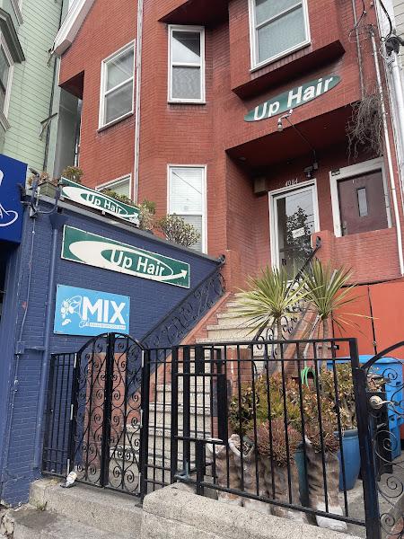 Up Hair 1