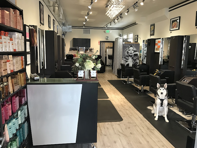 ML Hair Studio 3