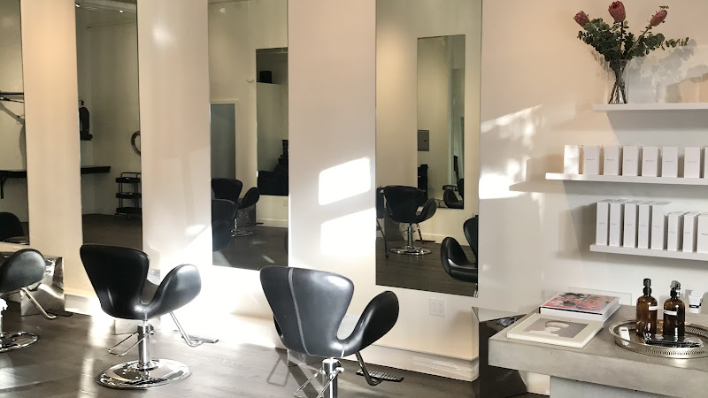 The Lane Salon 2