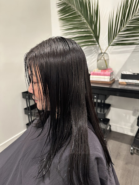 The Lane Salon 3