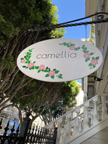 camellia salon 1