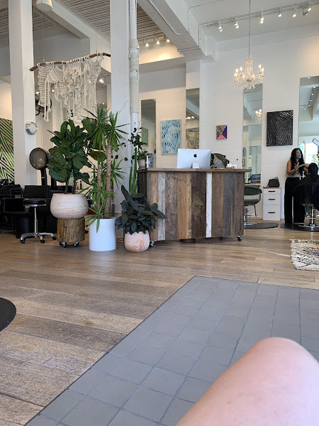 Edo Salon 2