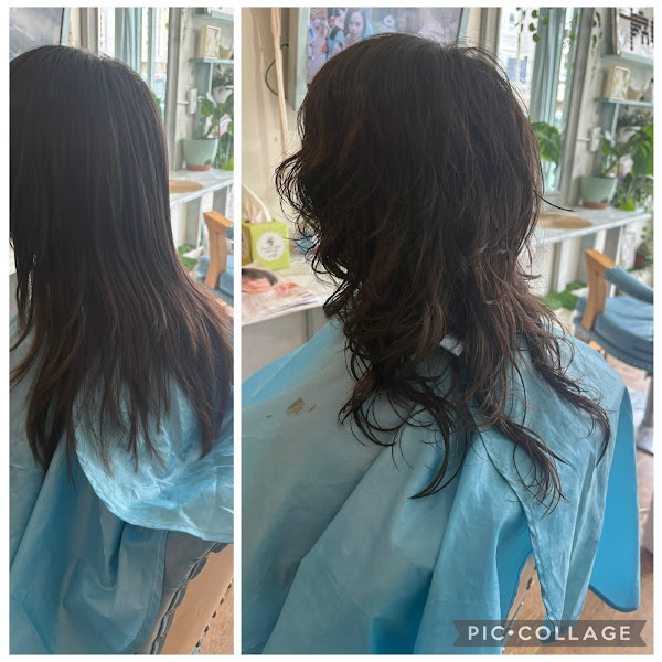 Hare Hair Salon 2