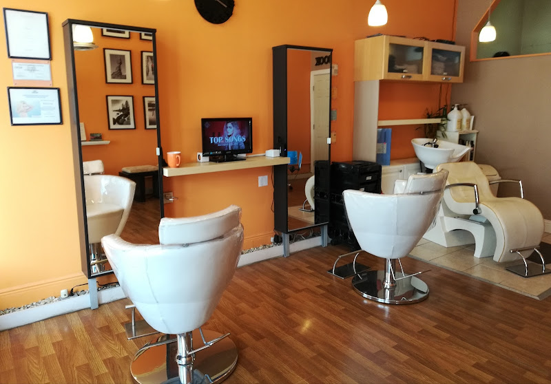 Organic Keratin Brazilian Blowout & Thermal Reconditioning Specialist SF - iHairbook 4