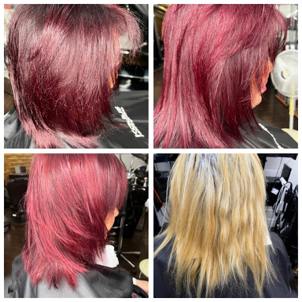 Orchids Beauty Salon 4
