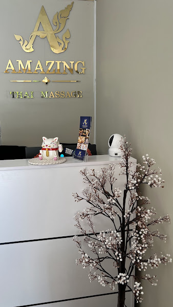 Amazing Thai Massage 2