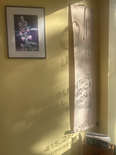 Umé Acupuncture & Integrative Medicine 4