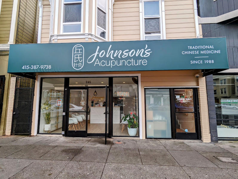 Johnson's Acupuncture 1