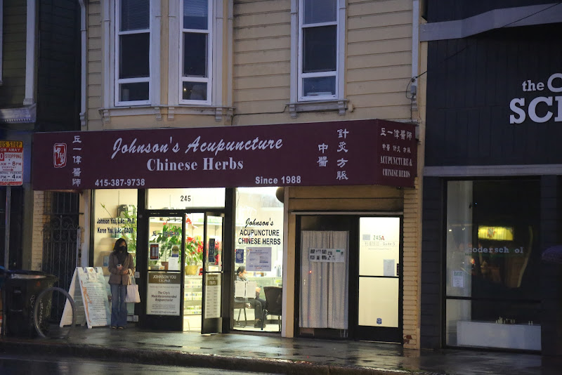 Johnson's Acupuncture 4