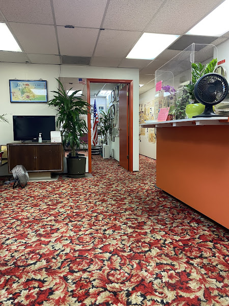 American Chinese Acupuncture