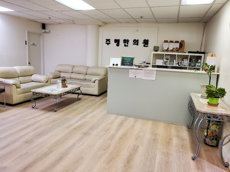Xu's Acupuncture 3