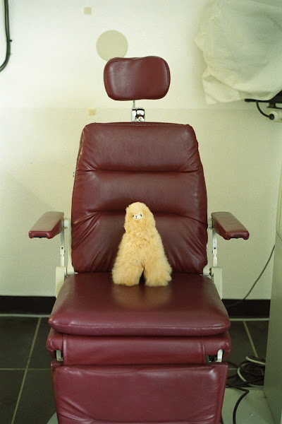 Vivid Optometry 3