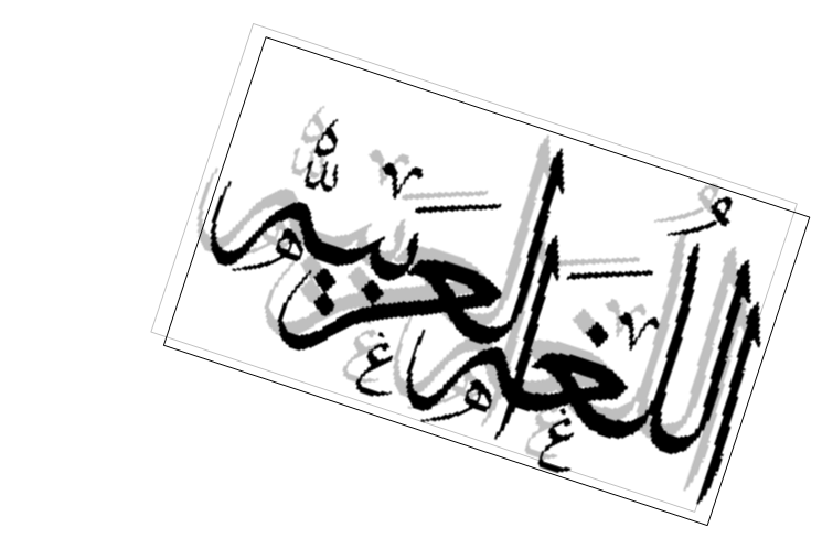 Arabic Language Service, LLC 2
