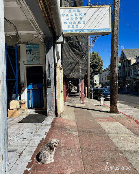 Noe Valley Auto Works 4