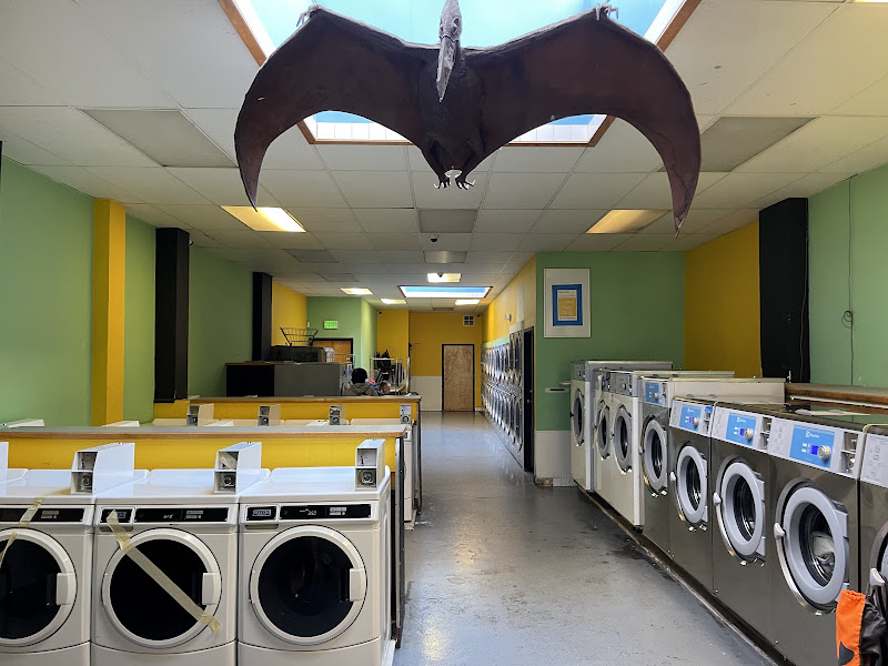 The TL Laundromat & Wash and Fold (NO CAFE) 3
