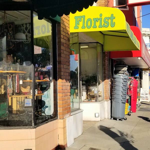 My Flower Shop 1