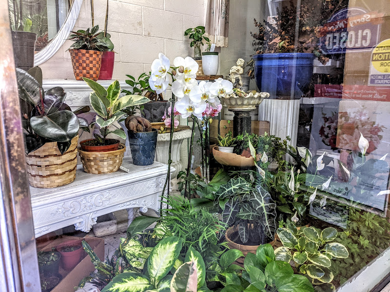 My Flower Shop 4