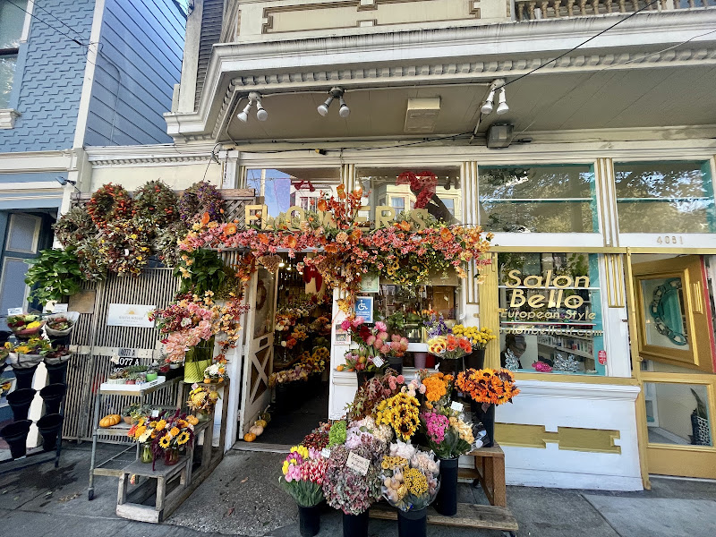 Flowers of the Valley San Francisco
