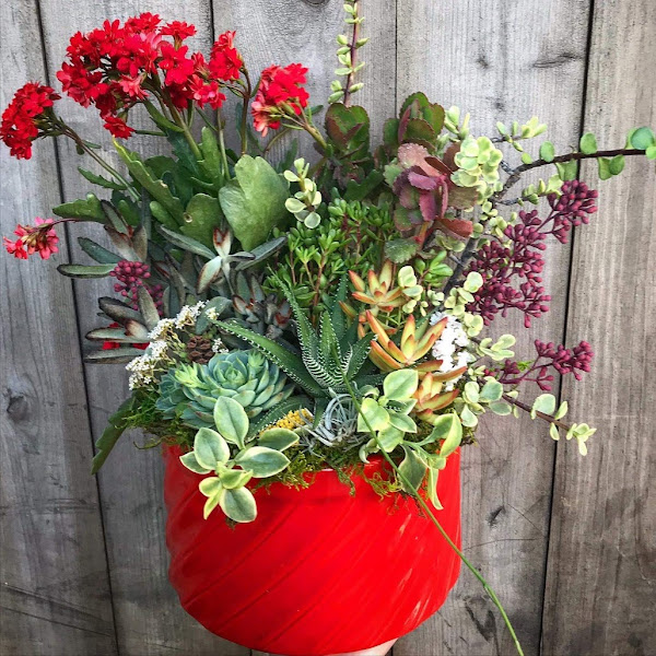 Elizabeth's Flowers, Inc. 3