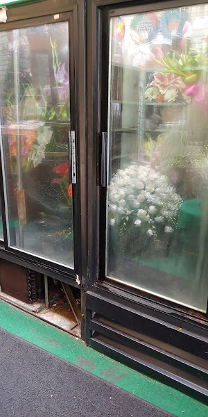 Mystic Garden Florist 2