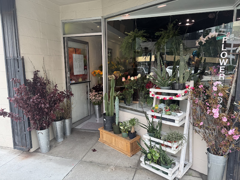 A New Leaf Florist 1