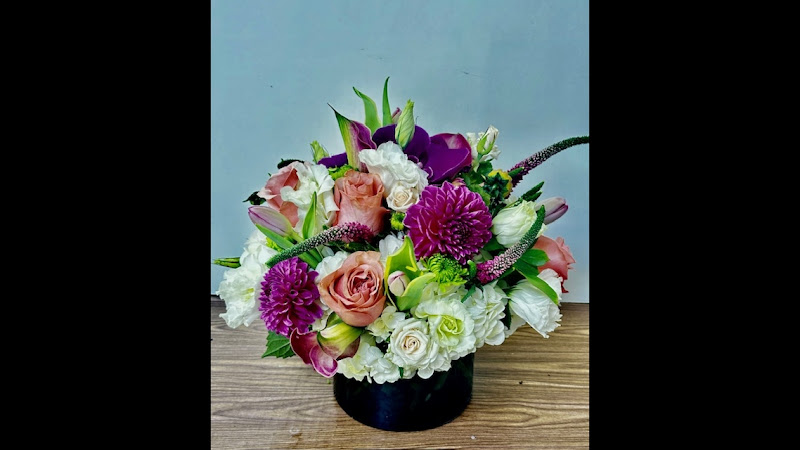 Jane's Roses & Flowers 2