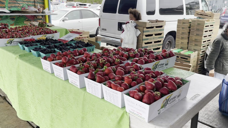Alemany Farmer's Market 2