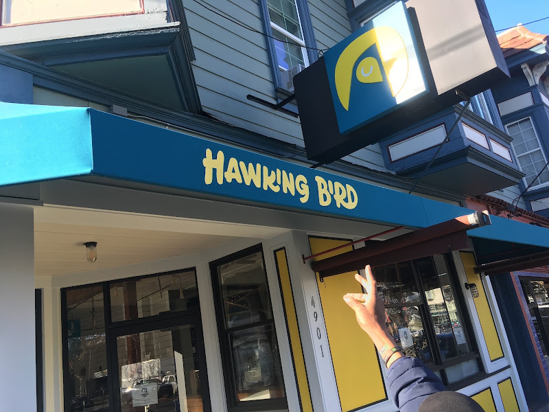 Hawking Bird
