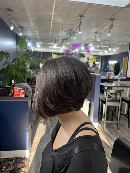 Chic Hair Design 2